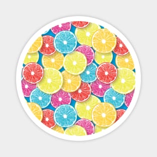 Citrus fruit slices pop art 2 Magnet